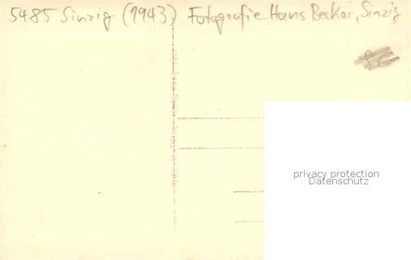 Sinzig Hochzeitskutsche – Bild 2