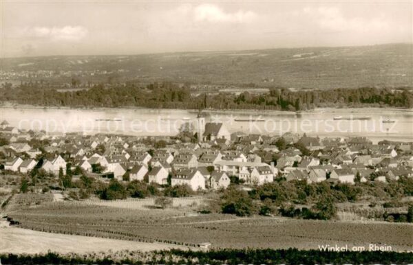 Winkel Oestrich-Winkel Panorama am Rhein