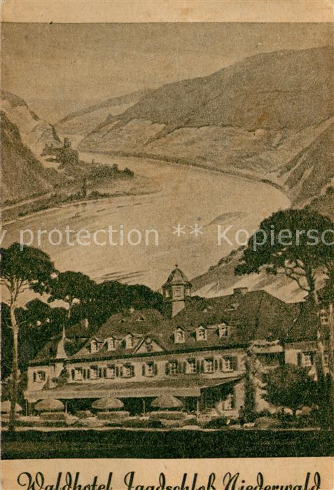 Ruedesheim am Rhein Waldhotel Jagdschloss Niederwald
