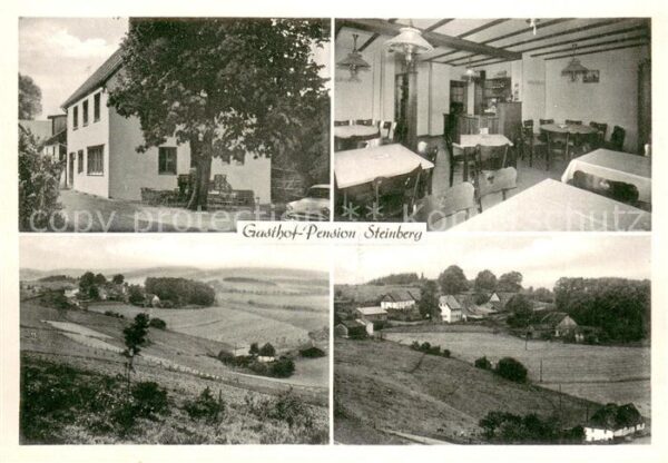 Wildewiese Gasthof und Pension Franz Steinberg Gaststube Panorama