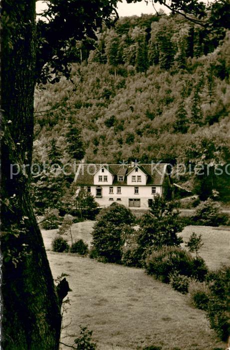 Erbach Odenwald Gasthaus u. Pension Zur Waldschenke Aussenansicht