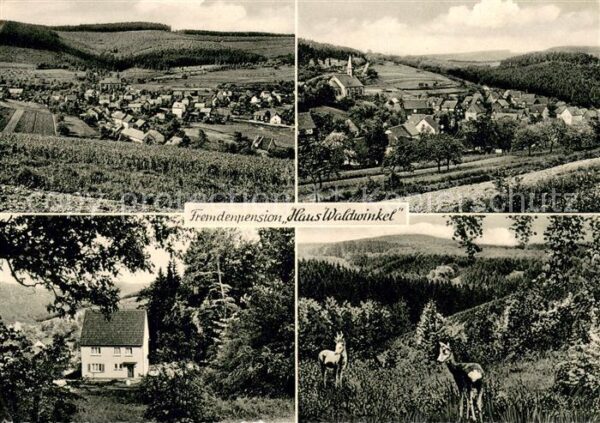 Betzdorf Sieg Gesamtansicht und Fremdenpension Haus Waldwinkel