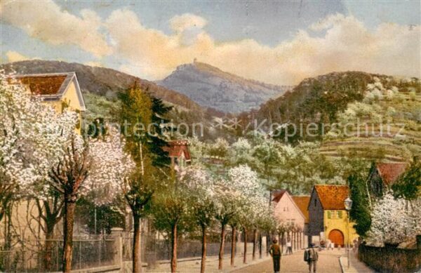 Zwingenberg Bergstrasse Fruehling an der Bergstrasse Feldpost