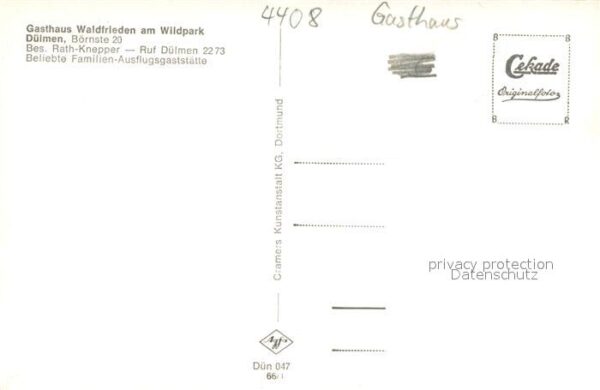 Duelmen wildpferde im Merfelder Bruch und Gasthaus Waldfrieden am Wildpark – Bild 2