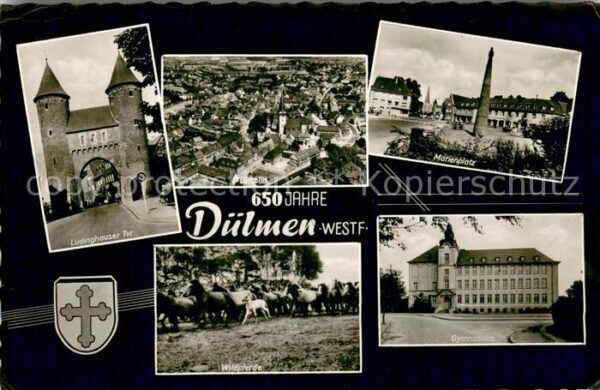 Duelmen Jubilaeum 650 Jahre Duelmen Wildpferde Marienplatz Luedinghauser-Tor