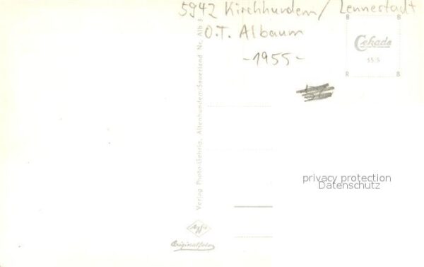 Albaum Teilansicht – Bild 2
