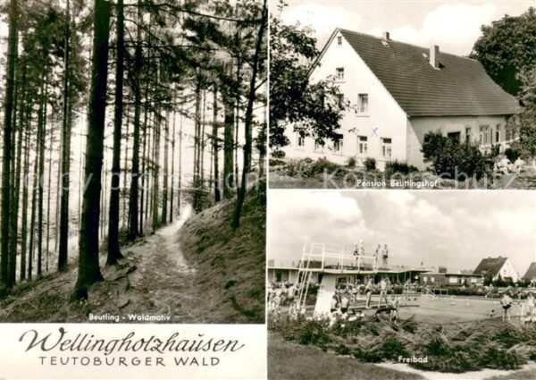 Wellingholzhausen Freibad Pension Beutlingshof Waldmotiv