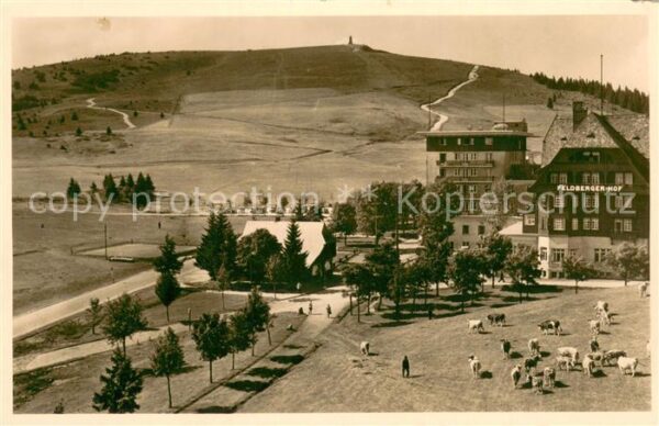 Feldberg 1450m Schwarzwald Hotel Feldbergerhof Aussenansicht