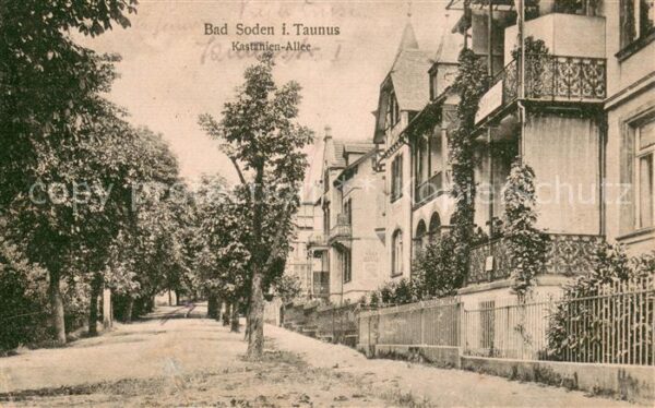 Bad Soden  Taunus Kastanien Allee