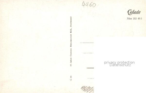 Nordhorn Steinmate – Bild 2