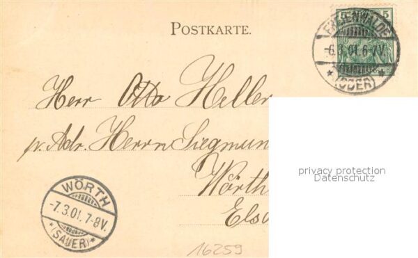 Bad Freienwalde Papenmuehle Schwanenteich – Bild 2
