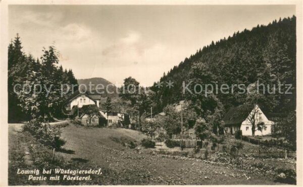 Lomnitz Lomnica Gluszyca Wuestegiersdorf Partie mit Foersterei