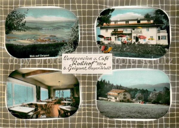 Geigant Panorama Bergpension Cafe Rosshof Gaststube