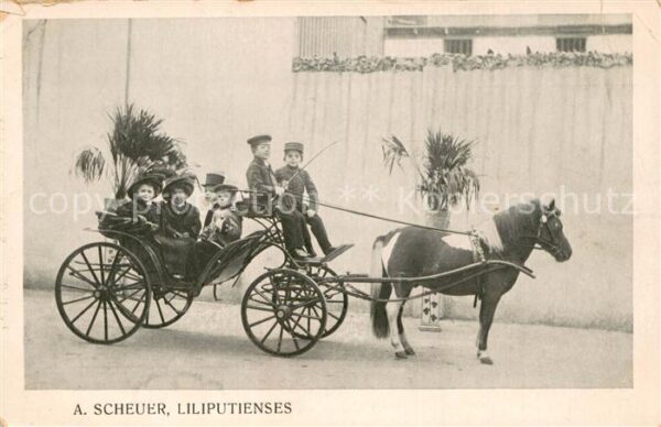 Besonderheiten A.Scheuer Liliputienses