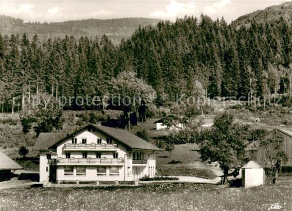 Bodenmais Gasthof Pension Boehmhof
