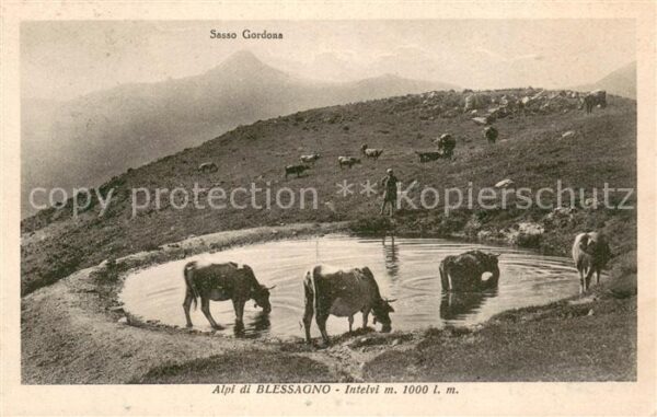Blessagno Argegno Italia Sasso Gordona Alpi di Blessagno Intelvi