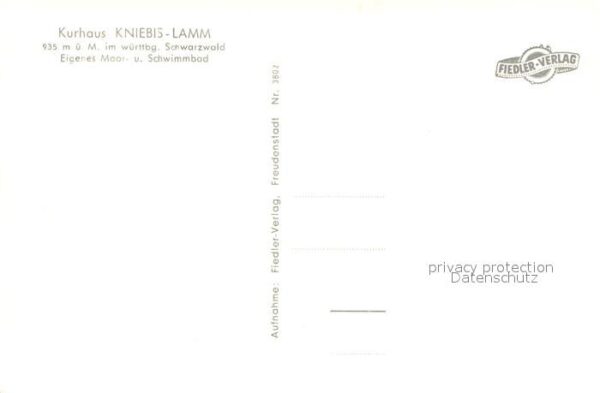 Lamm Kniebis Moorbad – Bild 2