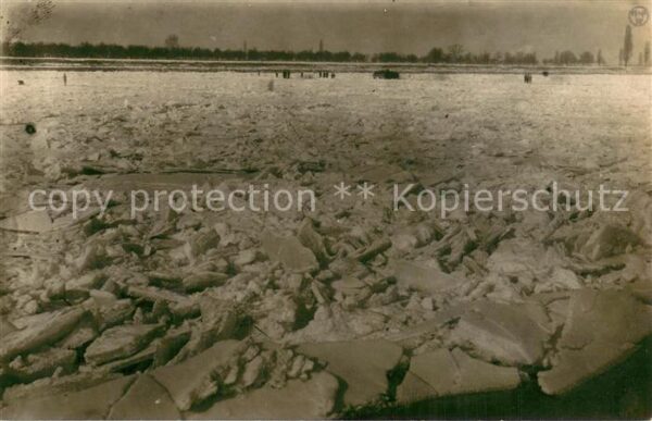 Gernsheim Zugefrorener Rhein im Februar 1929