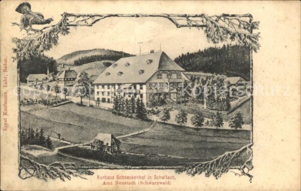 Schollach Eisenbach (Hochschwarzwald) Kurhaus Schneckenhof
