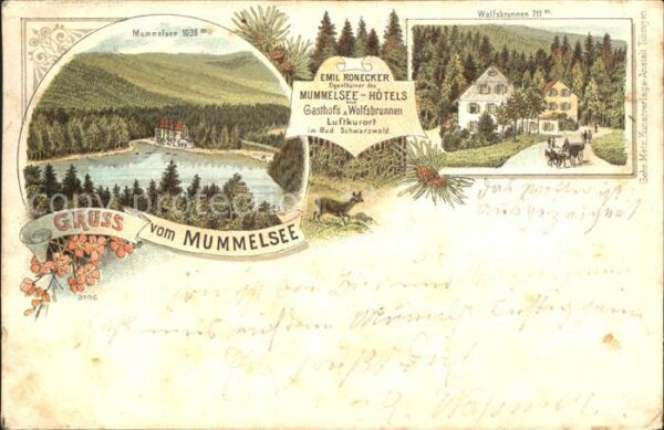 Mummelsee Gasthof Pension Wolfsbrunnen