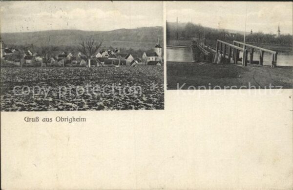 Obrigheim Baden Bruecke Stadtansicht