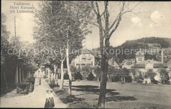 Todtmoos Hotel-Kurhaus Luisenbad