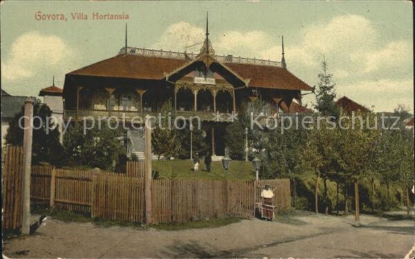 Govora Villa Hortansia
