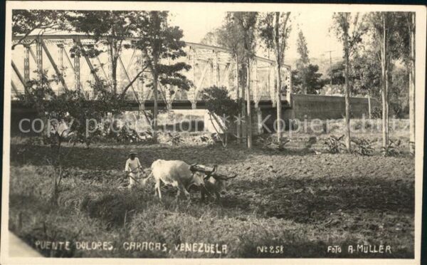 Caracas Puente Dolores