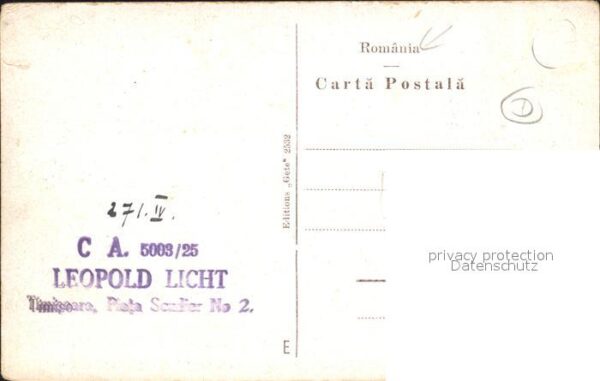 Timisoara Castelul Huniadi Pferdekutsche – Bild 2