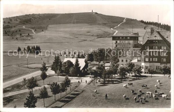 Feldberg Schwarzwald Hotel Feldbergerhof