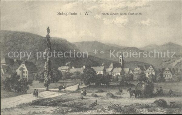 Schopfheim Stadt Feld Stahlstich