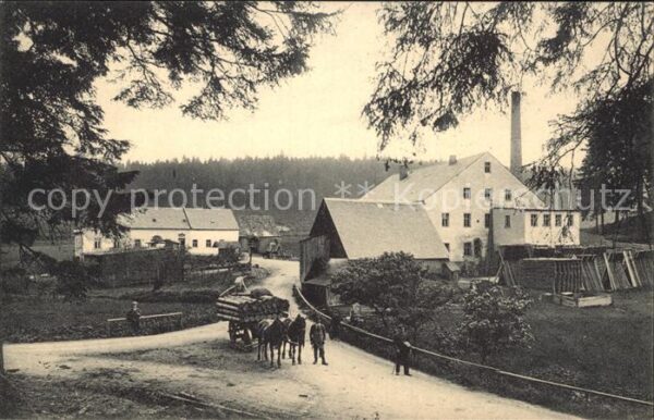 Marienberg Erzgebirge Baumstaemme Pferde Arbeiter