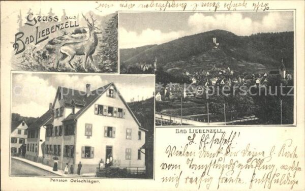 Bad Liebenzell Pension Oelschlaeger Stadt Hirsch
