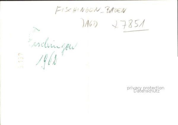 Fischingen Baden Jagd – Bild 2