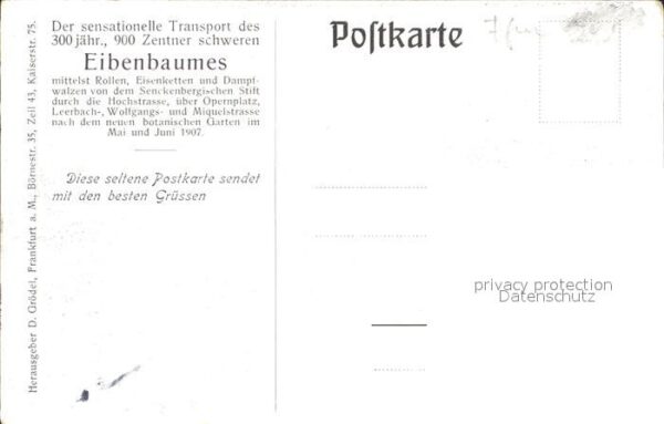 Frankfurt Main Transport Eibenbaum – Bild 2