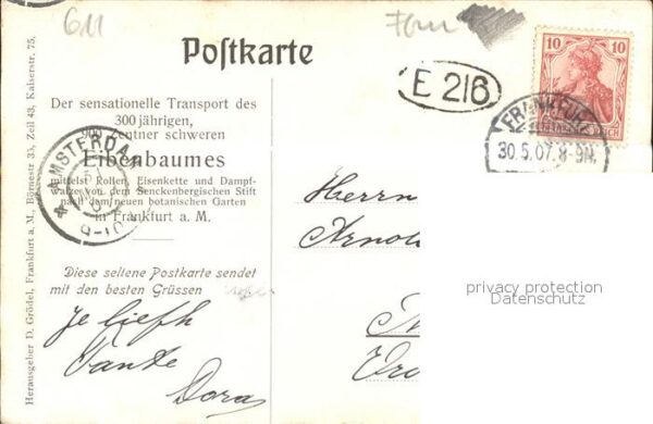 Frankfurt Main Transport Eibenbaum – Bild 2
