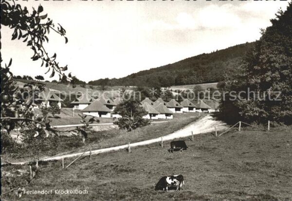 Kroeckelbach Odenwald Dorf Kuehe
