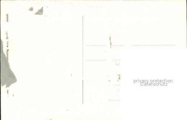 Eberbach Odenwald Unterer Hoellgrund Kuehe – Bild 2