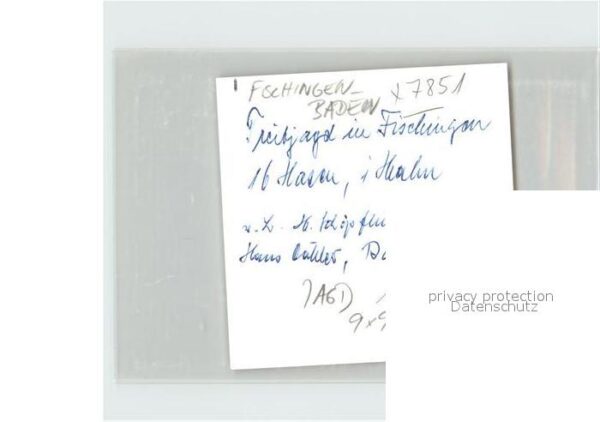 Fischingen Baden Treibjagd – Bild 2