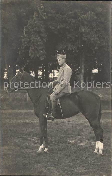 Frankreich WK1 Regiment 4 Kavaleria Pferd