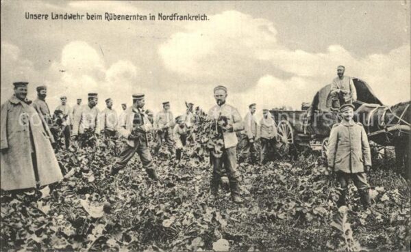 Militaria Landwehr Deutsche Landwehr beim Ruebenernten  RIR 107 Regiment 107