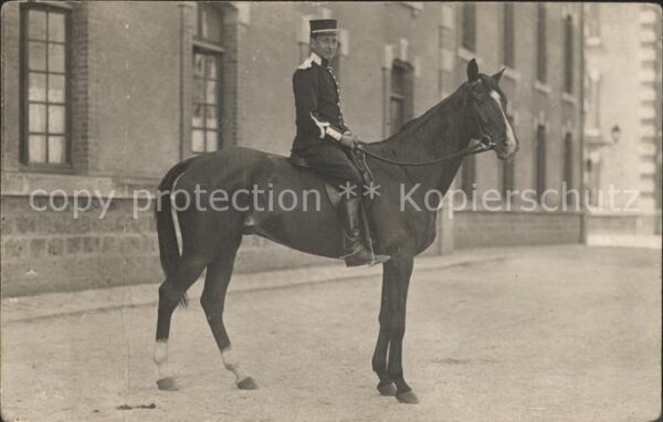 Frankreich WK1 dragona regiment 8 31  cheval portrait