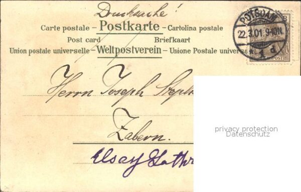 Militaria Kavallerie Geschichte Pferd – Bild 2