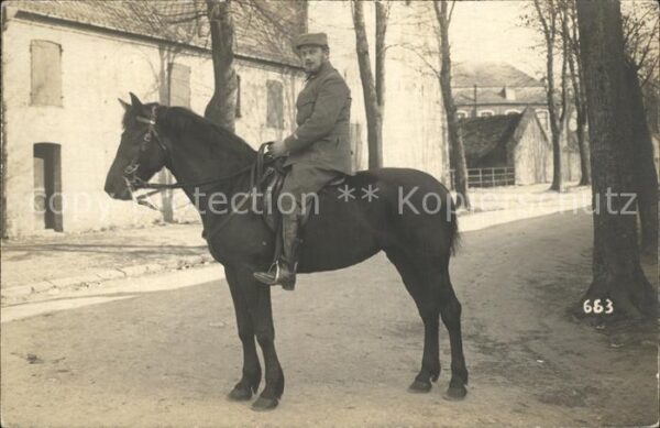 Militaria Kavallerie Soldat auf dem Pferd WK1
