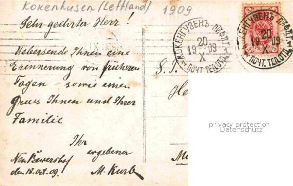 Kokenhusen Kuhherde – Bild 2