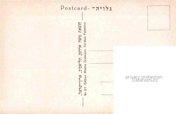 Tel Aviv Bafour reception Township – Bild 2