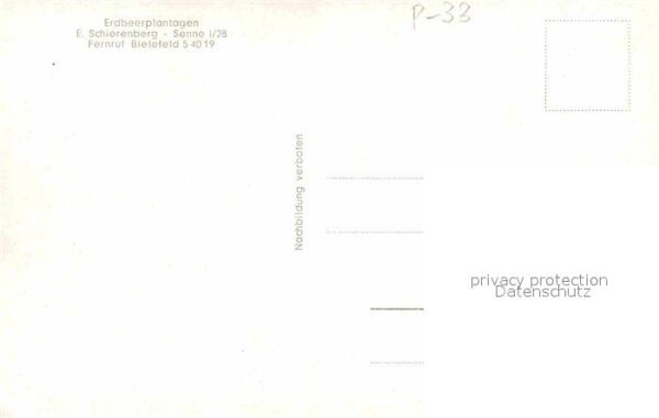 Senne Bielefeld Erdbeerplantage – Bild 2