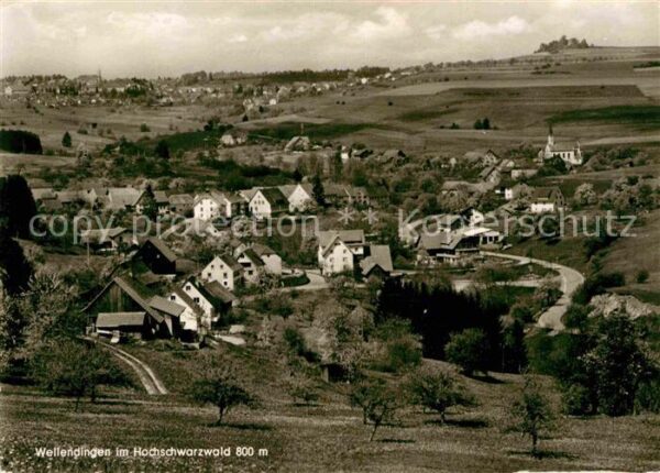 Wellendingen Bonndorf Panorama