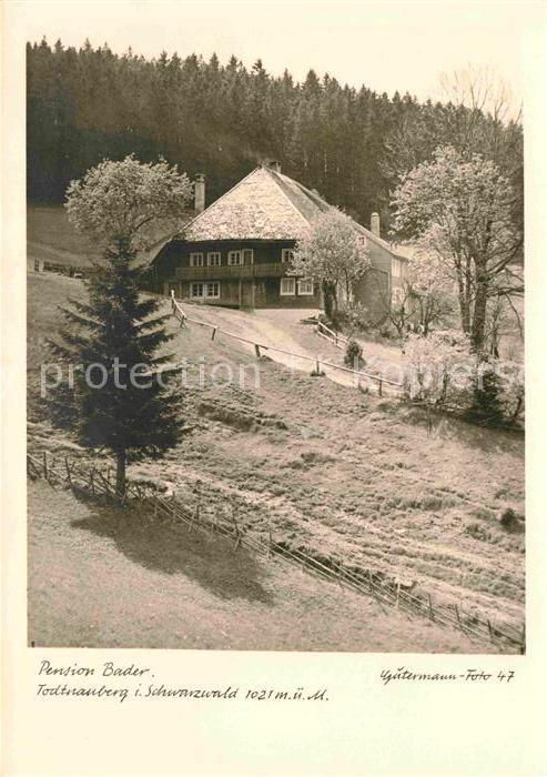 Todtnauberg Pension Bader