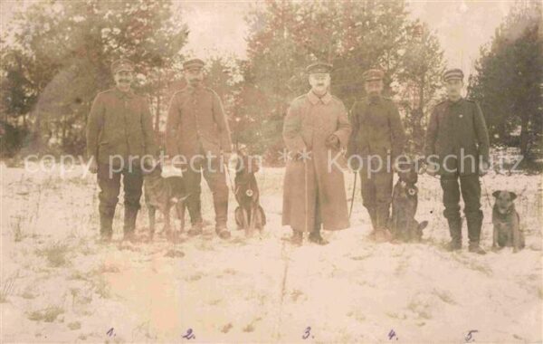 Militaria Deutschland  WK1 Rettungshunde